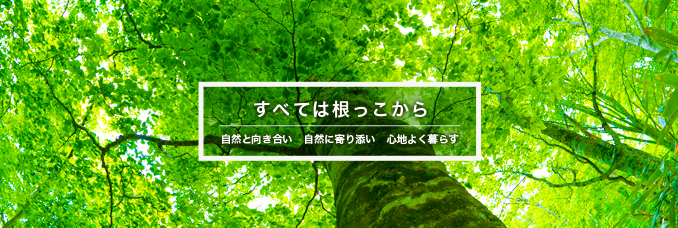 すべては根っこから