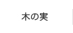 木の実