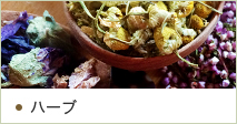 ハーブ