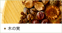 木の実